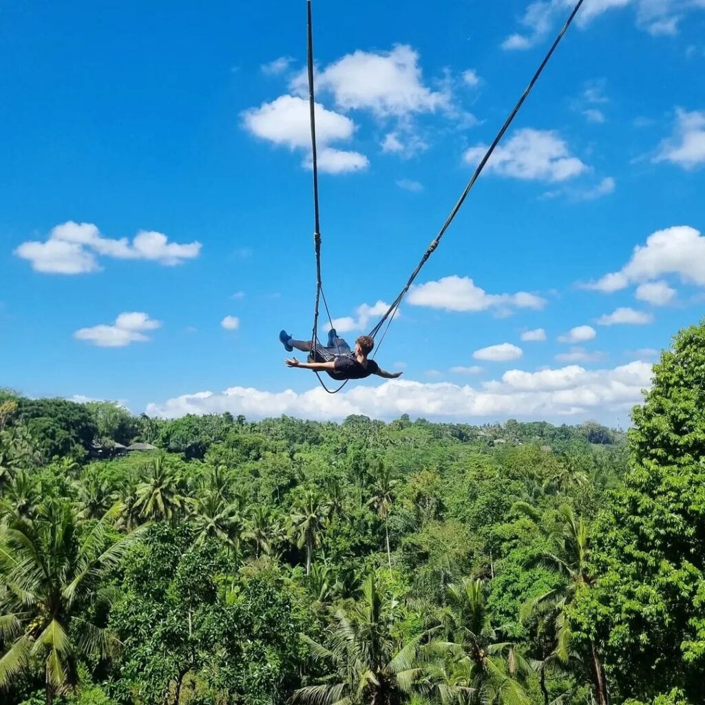 Jungle swing