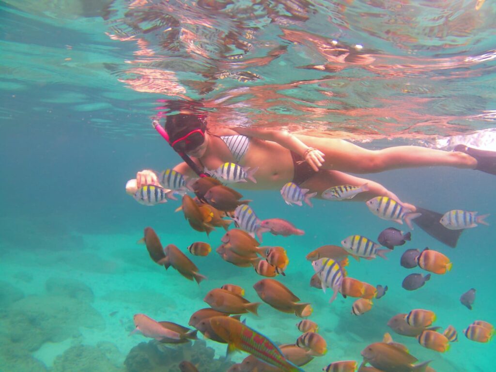 Snorkeling