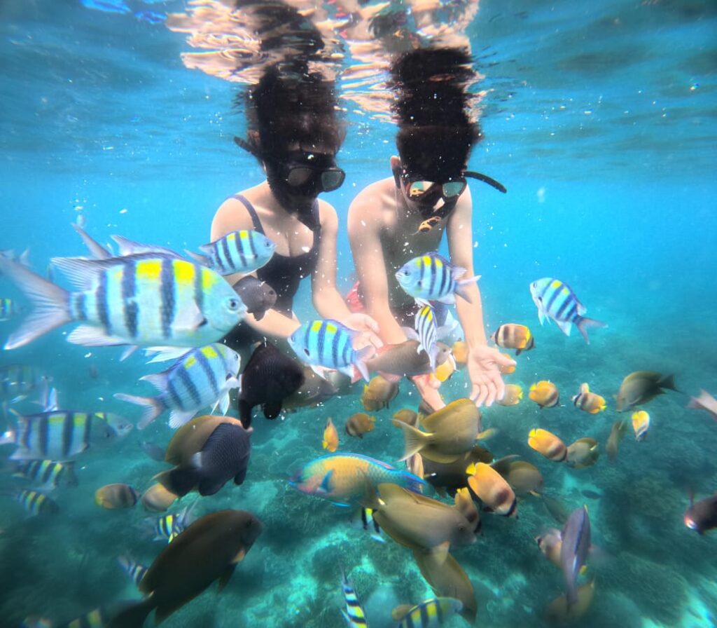 Snorkeling